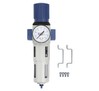 Water separator RQS - 3/4"" with gauge