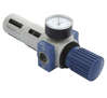 Water separator RQS - 3/4"" with gauge