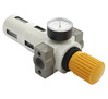 Water separator RQS 1"" with pressure gauge